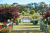 Meadow path flanked by roses and bushes to the lake