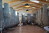 A modern vinification cellar with organically shaped concrete tanks (Beauregard, France)