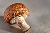 A brown mushroom (close up)