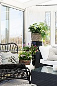 Flowering plants and wicker chair in corner of cosy conservatory with view of garden