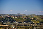 A view of Barbaresco from Guarene
