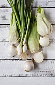 An arrangement of fennel and onions