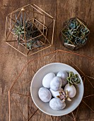 Bowl of Easter eggs and succulents in metal frames on wooden table