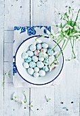 Sugared eggs in an enamel bowl with snowdrops