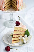 A slice of Victoria sandwich cake with fresh cherries