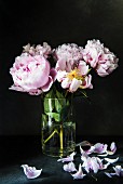 Vase of peonies