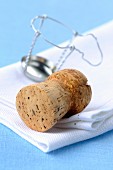 Champagne cork and a wire cork holder