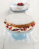 Frozen yoghurt cake with berries