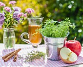Chamomile in the tin bucket, apples, cinnamon sticks and tea on a garden table