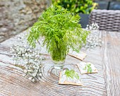 Dill in a glass of water on a wooden table in a garden