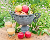 Äpfel in Steinamphore und zwei Gläser Apfelsaft auf Gartentisch
