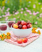Fresh cherries and two glasses of cherry juice on a garden table