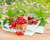 Redcurrants in a copper pan on a garden table