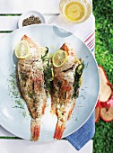 Two fish, grilled in paper, with herbs and lemons