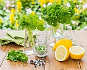 Flat-leaf and curly-leaf parsley in glasses with lemons and spices in the foreground