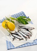 Sardines, lemons and young chard