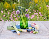 Leek, chive flowers and garlic on a garden table