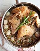 Hähnchen, in Linsen gebacken