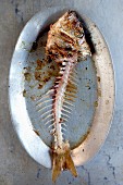 A grilled fish carcass on a plate