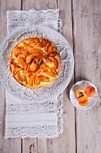 Caramelised apricot pudding tart