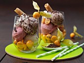 Chocolate, chai and cranberry ice cream with physalis