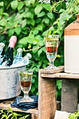 Aperitif with Prosecco and liqueur at a garden party