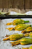 Stuffed courgette flowers on a baking tray