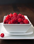 Wild raspberries in a square bowl