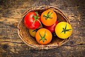 Weidenkorb von roten, gelben und orangefarbenen Tomaten auf Holzuntergrund