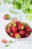 Bowl of strawberries