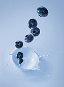 Blueberries falling into blueberry milk