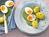 Soft-boiled eggs with spinach sauce and potatoes