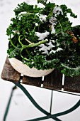 Mit Schnee bedeckter frischer Grünkohl in Schale auf Gartenstuhl
