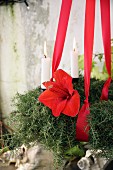 Advent wreath made from asparagus fern and amaryllis flowers hung from red ribbons