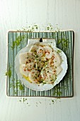 Raw sliced mussels with green tea in a scallop shell