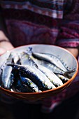 Fresh sardines in a ceramic bowl