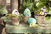 Gefärbte Eier mit Stiefmütterchen dekoriert, in Vintage Blumentöpfen
