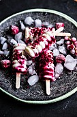 Frozen yogurt and raspberry ice lollies with dried raspberries