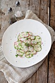 Cucumber and radish salad with dill