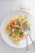 Ragout aus Hähnchen mit Sahne, Tomaten, italienischen Kräutern und Petersilie auf Tagliatelle