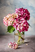 Vase of pink hydrangeas