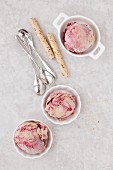 Scoops of Nutella, chocolate and blackberry ripple ice cream with wafer rolls