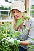 Young woman wearing hat tending plants