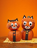 Halloween pumpkin cats
