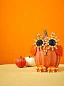 Halloween pumpkin owl
