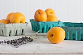 Apricots and lavender