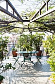 Seating area under climber-covered pagoda on roof terrace