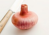 A shallot with a knife (close-up)