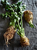 Three celery roots