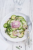 Cucumber carpaccio with red onions and dill